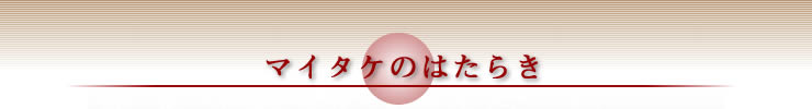 }C^P̂͂炫