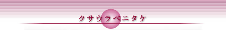 NTExj^P